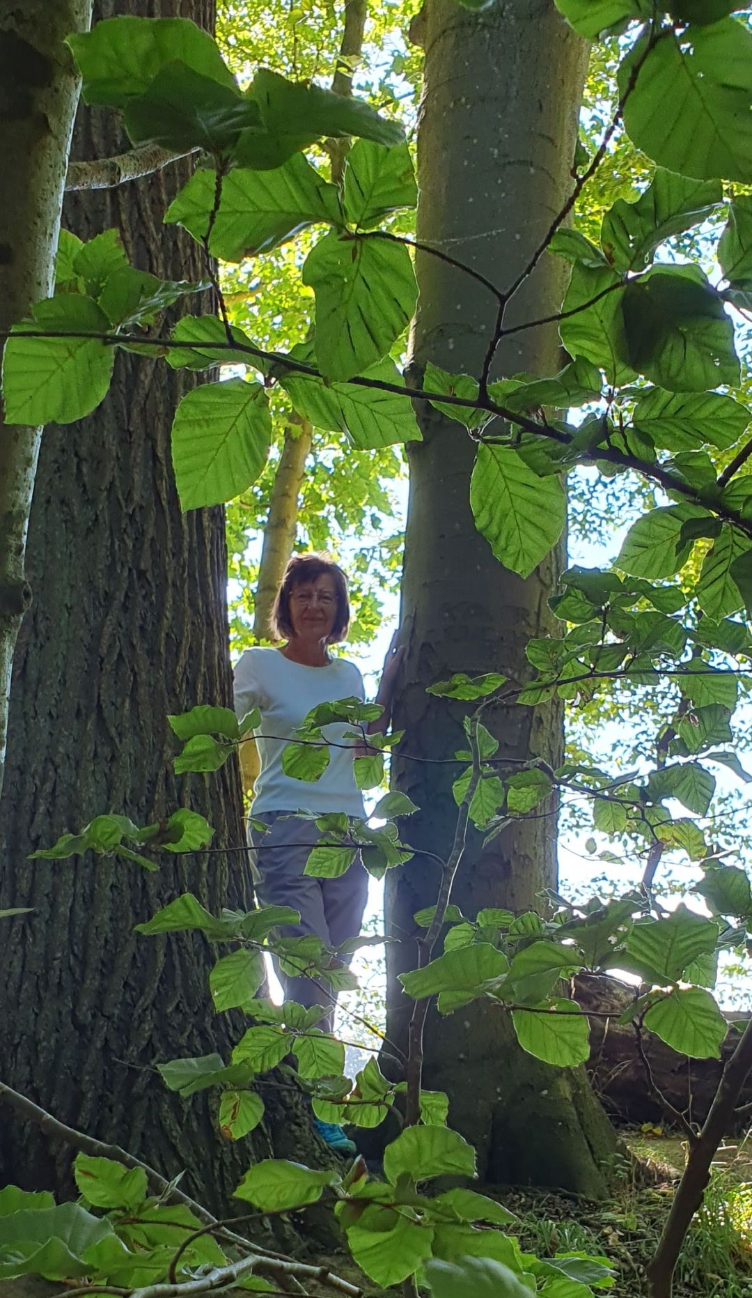 Portrait von  Dr. Cornelia M&uuml;ller