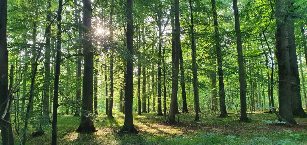 Foto: Cornelia M&uuml;ller