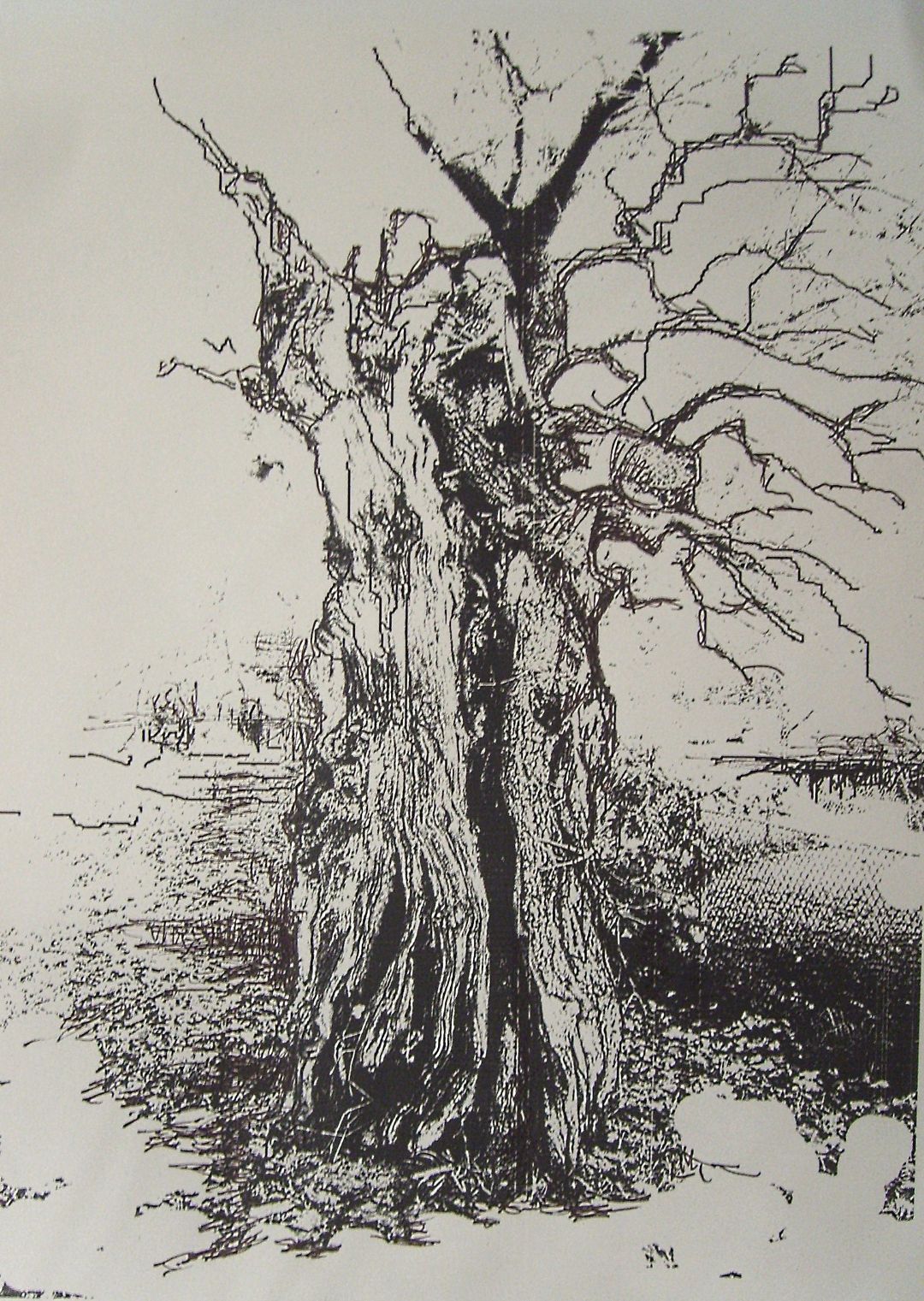 Hartwig K. Neuwald "Alter Baum"