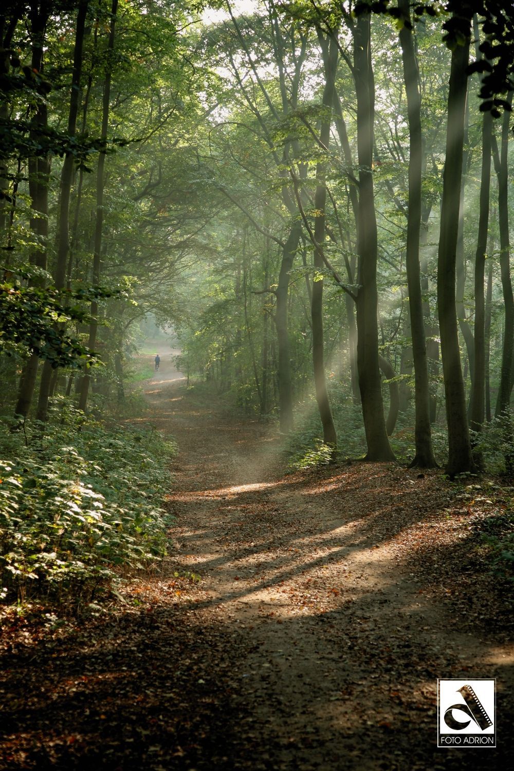 Foto: Alexander Adrion