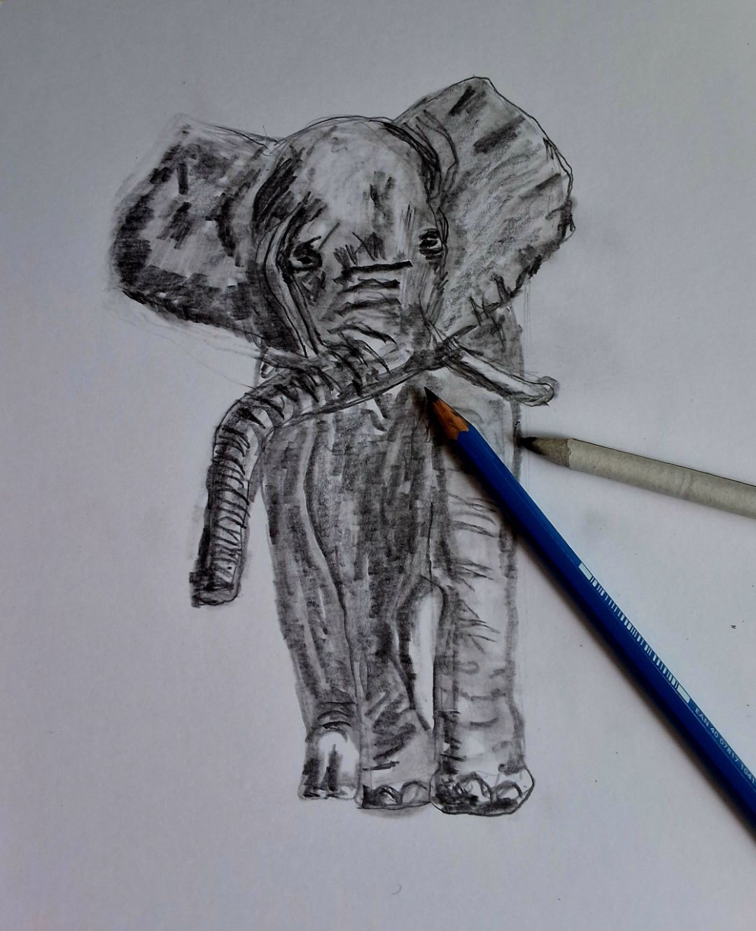 Foto: Tanja Doeppner